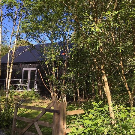 Alder Cabin Килкенни Экстерьер фото