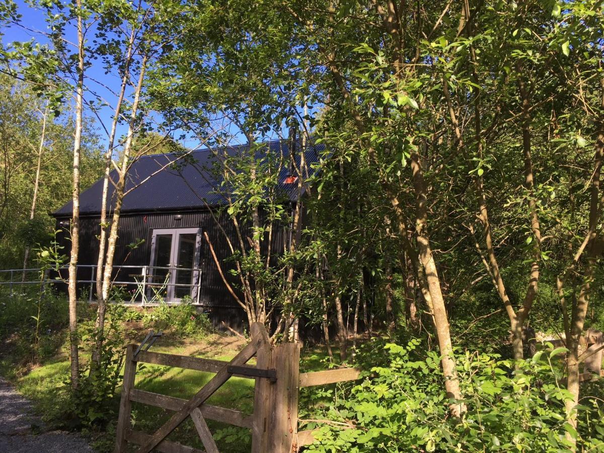 Alder Cabin Килкенни Экстерьер фото
